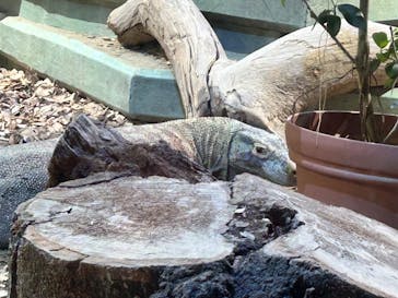 名古屋市東山動植物園に投稿された画像（2024/9/23）