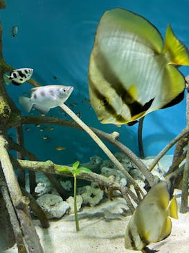 サンシャイン水族館に投稿された画像（2024/9/23）