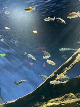 サンシャイン水族館に投稿された画像（2024/9/23）