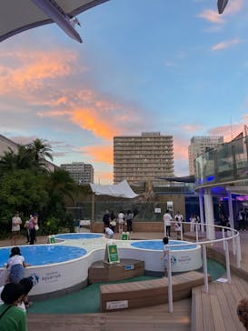 サンシャイン水族館に投稿された画像（2024/9/23）