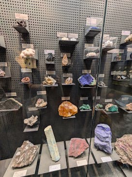 福井県立恐竜博物館に投稿された画像（2024/9/23）