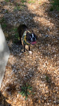 野外民族博物館 リトルワールドに投稿された画像（2024/9/23）