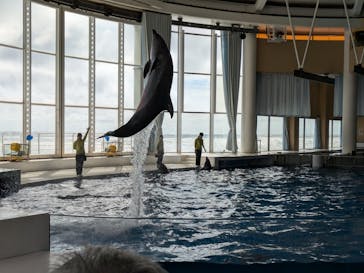 アクアワールド茨城県大洗水族館に投稿された画像（2024/9/23）