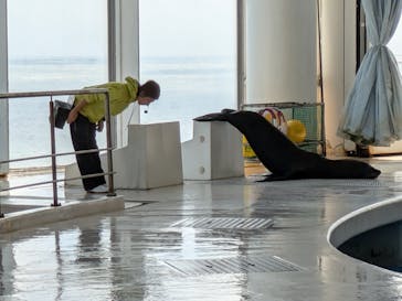 アクアワールド茨城県大洗水族館に投稿された画像（2024/9/23）