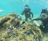 武藤潜水に投稿された画像（2024/9/23）