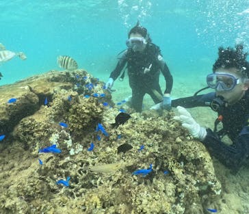 武藤潜水に投稿された画像（2024/9/23）