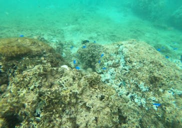 武藤潜水に投稿された画像（2024/9/23）