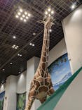 多摩動物公園に投稿された画像（2024/9/23）