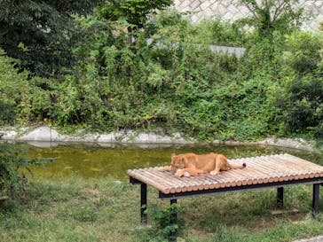 多摩動物公園に投稿された画像（2024/9/23）