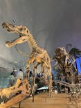 福井県立恐竜博物館に投稿された画像（2024/9/23）