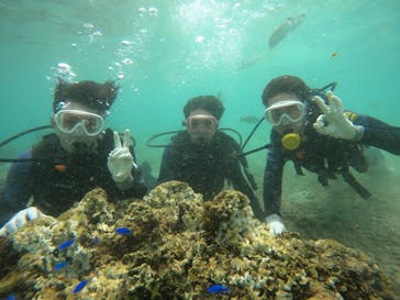 武藤潜水に投稿された画像（2024/9/23）