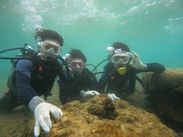 武藤潜水に投稿された画像（2024/9/23）