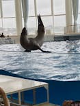 アクアワールド茨城県大洗水族館に投稿された画像（2024/9/23）