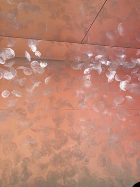 アクアワールド茨城県大洗水族館に投稿された画像（2024/9/23）