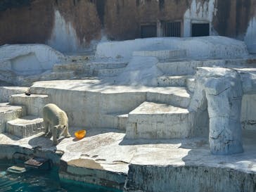 天王寺動物園に投稿された画像（2024/9/23）