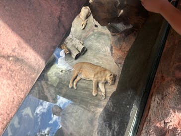 天王寺動物園に投稿された画像（2024/9/23）