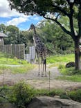 天王寺動物園に投稿された画像（2024/9/23）