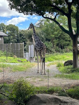 天王寺動物園に投稿された画像（2024/9/23）