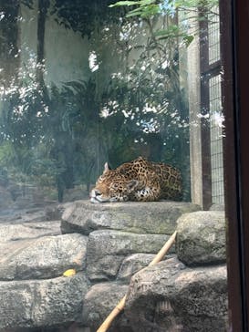 天王寺動物園に投稿された画像（2024/9/23）