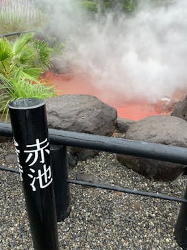 べっぷ地獄めぐりに投稿された画像（2024/9/23）