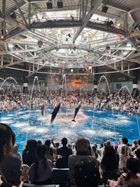 マクセル アクアパーク品川に投稿された画像（2024/9/23）