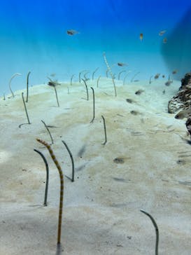 アクアワールド茨城県大洗水族館に投稿された画像（2024/9/23）