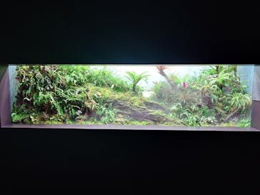 AOAO SAPPOROに投稿された画像（2024/9/23）