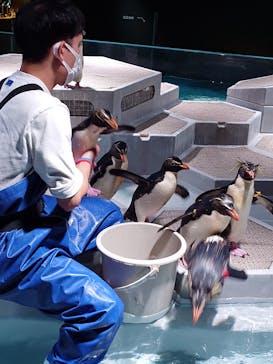 AOAO SAPPOROに投稿された画像（2024/9/23）