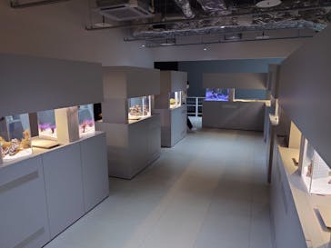 AOAO SAPPOROに投稿された画像（2024/9/23）