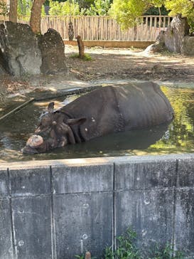 名古屋市東山動植物園に投稿された画像（2024/9/23）