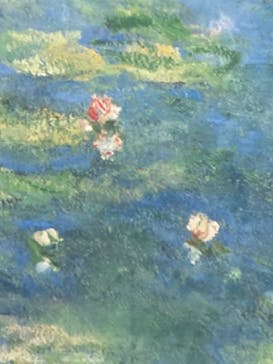 モネ＆フレンズ・アライブに投稿された画像（2024/9/23）