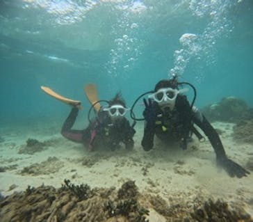 沖縄マリンサービス碧に投稿された画像（2024/9/23）