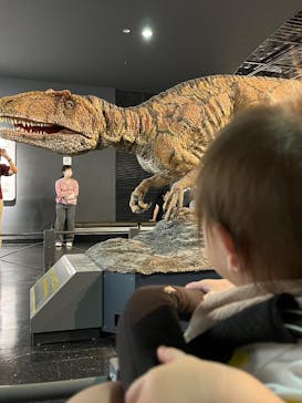 福井県立恐竜博物館に投稿された画像（2024/9/23）