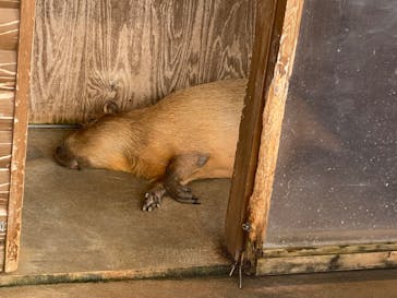新江ノ島水族館に投稿された画像（2024/9/23）