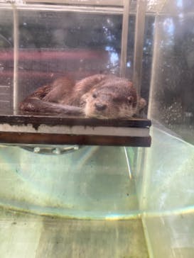 恩賜上野動物園に投稿された画像（2024/9/23）