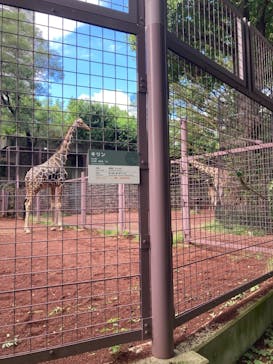 恩賜上野動物園に投稿された画像（2024/9/23）