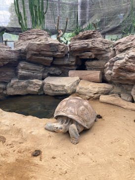 恩賜上野動物園に投稿された画像（2024/9/23）