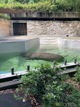 恩賜上野動物園に投稿された画像（2024/9/23）