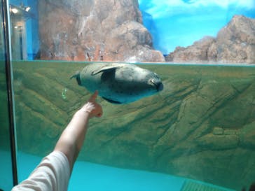 しながわ水族館に投稿された画像（2024/9/23）