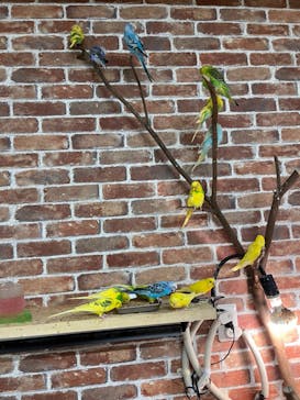 アニタッチ 東京ドームシティに投稿された画像（2024/9/23）