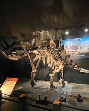 福井県立恐竜博物館に投稿された画像（2024/9/23）