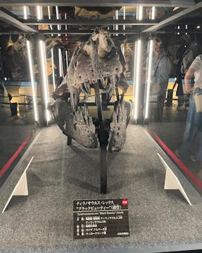 福井県立恐竜博物館に投稿された画像（2024/9/23）
