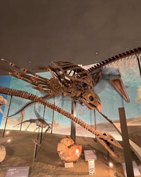 福井県立恐竜博物館に投稿された画像（2024/9/23）