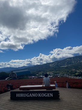 ひるがのピクニックガーデンに投稿された画像（2024/9/23）