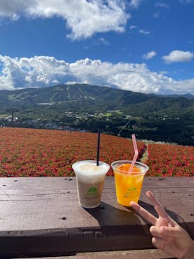 ひるがのピクニックガーデンに投稿された画像（2024/9/23）