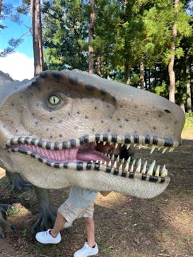 ひるがのピクニックガーデンに投稿された画像（2024/9/23）