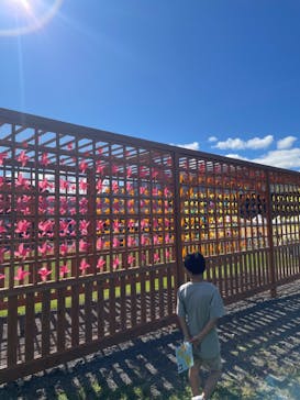 ひるがのピクニックガーデンに投稿された画像（2024/9/23）