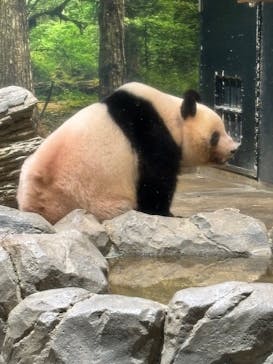 恩賜上野動物園に投稿された画像（2024/9/23）