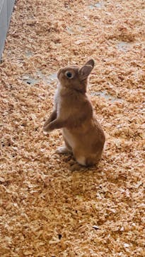 霞ケ浦 どうぶつとみんなのいえに投稿された画像（2024/9/23）