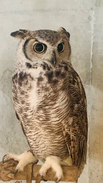 霞ケ浦 どうぶつとみんなのいえに投稿された画像（2024/9/23）